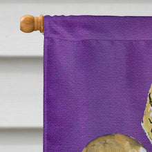 Load image into Gallery viewer, Tiger Football Fleur de lis Flag Canvas House Size
