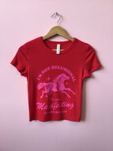 Load image into Gallery viewer, “I’m Not Delusional…” Shirt
