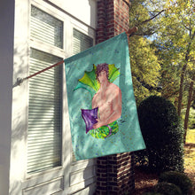 Load image into Gallery viewer, Merman Merman Flag Canvas House Size