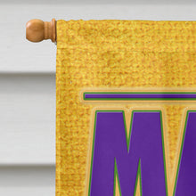Load image into Gallery viewer, Mardi Gras Flag Canvas House Size