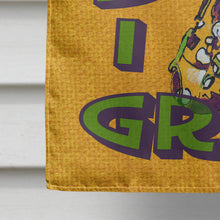 Load image into Gallery viewer, Mardi Gras Flag Canvas House Size