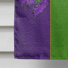 Load image into Gallery viewer, Mardi Gras Flag Canvas House Size