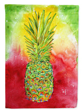 Load image into Gallery viewer, Pineapple  Flag Canvas House Size