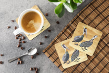 Load image into Gallery viewer, Bird - Pelican Coasters - Set of 4 Lightweight Foam, Absorbent Drink Coasters