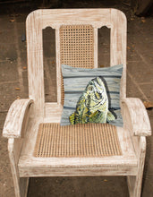 Load image into Gallery viewer, Fish Bass Small Mouth Throw Pillow - 14x14 Decorative Pillow – Art for Your Home &amp; Patio 8493PW1414