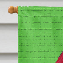 Load image into Gallery viewer, Christmas Santa Fleur de lis Flag Canvas House Size