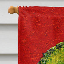 Load image into Gallery viewer, Christmas Wreath Fleur de lis Flag Canvas House Size