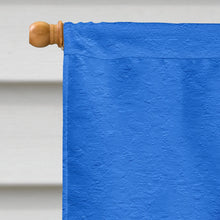 Load image into Gallery viewer, Christmas Snowman Fleur de lis Flag Canvas House Size