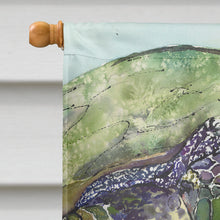 Load image into Gallery viewer, Turtle  Flag Canvas House Size