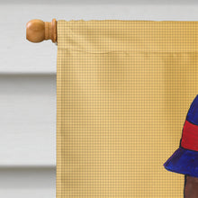 Load image into Gallery viewer, Thanksgiving Turkey Pilgrim Fleur de lis Flag Canvas House Size
