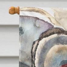 Load image into Gallery viewer, Sea Shells Flag Canvas House Size