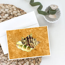 Load image into Gallery viewer, Shell Greeting Cards -  Blank Note Cards – 8-Pack of Artist-Designed Cards with Envelopes
