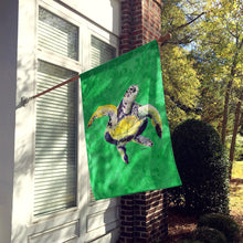 Load image into Gallery viewer, Turtle  Dancing Flag Canvas House Size