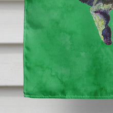 Load image into Gallery viewer, Turtle  Dancing Flag Canvas House Size