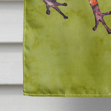 Load image into Gallery viewer, Frog  Flag Canvas House Size