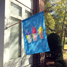 Load image into Gallery viewer, Snowballs and Snowcones  Flag Canvas House Size
