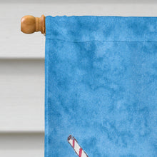 Load image into Gallery viewer, Snowballs and Snowcones  Flag Canvas House Size