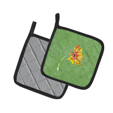 Load image into Gallery viewer, Gerber Daisy Orange Pot Holders - Set of 2 Decorative Kitchen Helpers | Made in the USA 8854PTHD