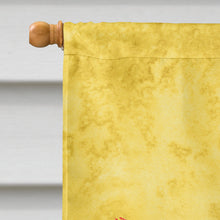 Load image into Gallery viewer, Dragonfly on Yellow Flag Canvas House Size