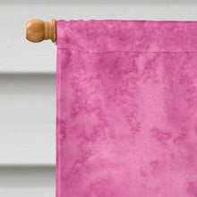 Load image into Gallery viewer, Flamingo on Pink Flag Canvas House Size