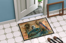 Load image into Gallery viewer, Abstract Pelicans Doormat - 24x36 Decorative Floor Mat – Indoor/Outdoor Rug