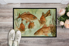 Load image into Gallery viewer, Red Fish Swim Doormat - 24x36 Decorative Floor Mat – Indoor/Outdoor Rug