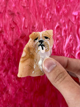 Load image into Gallery viewer, Dog Hair Claw