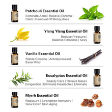 Load image into Gallery viewer, Essential Oils for Diffuser - 12 Kinds Of Fragrance