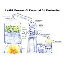 Load image into Gallery viewer, Essential Oils for Diffuser - 12 Kinds Of Fragrance