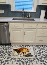 Load image into Gallery viewer, Beagle Bliss Machine Washable Memory Foam Mat AMB1076RUG