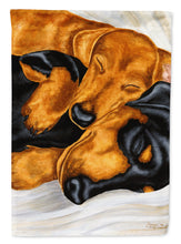 Load image into Gallery viewer, Dachshund Snuggles Flag Canvas House Size AMB1110CHF