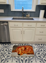 Load image into Gallery viewer, Red Longhaired Dachshund Machine Washable Memory Foam Mat AMB1202RUG