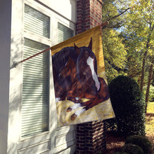 Load image into Gallery viewer, Bay Mare Foal Horse Flag Canvas House Size AMB1236CHF