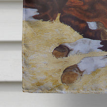 Load image into Gallery viewer, Bay Mare Foal Horse Flag Canvas House Size AMB1236CHF