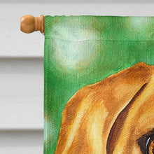 Load image into Gallery viewer, The Eyes Have It Dachshund Flag Canvas House Size AMB1414CHF