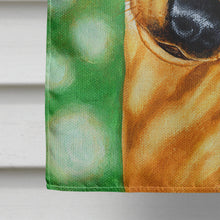 Load image into Gallery viewer, The Eyes Have It Dachshund Flag Canvas House Size AMB1414CHF