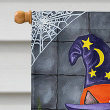 Load image into Gallery viewer, Brewing up Trouble Halloween Dachshund Flag Canvas House Size AMB1434CHF