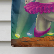 Load image into Gallery viewer, Elephant Ballerina Flag Canvas House Size APH0249CHF