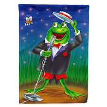 Load image into Gallery viewer, Frog Comedy Routine Flag Canvas House Size APH0523CHF