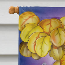 Load image into Gallery viewer, Animals Kayaking Flag Canvas House Size APH0978CHF