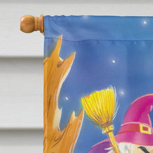 Load image into Gallery viewer, Witch and her Castle Flag Canvas House Size APH2989CHF
