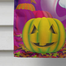 Load image into Gallery viewer, Buuu Ghosts Halloween Flag Canvas House Size APH3798CHF