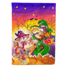 Load image into Gallery viewer, Witch Voodoo Scarecrow Halloween Flag Canvas House Size APH5129CHF