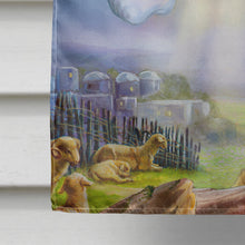 Load image into Gallery viewer, The Shepherds and Angels Appearing Flag Canvas House Size APH5469CHF
