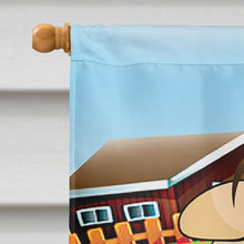 Load image into Gallery viewer, The Pig Flag Canvas House Size