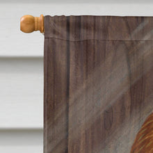 Load image into Gallery viewer, My Little Chickadees with Hen Chicken Flag Canvas House Size ASA2011CHF