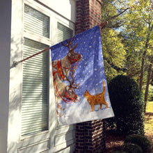 Load image into Gallery viewer, Reindeers &amp; Cat Flag Canvas House Size ASA2015CHF
