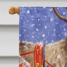 Load image into Gallery viewer, Reindeers &amp; Cat Flag Canvas House Size ASA2015CHF