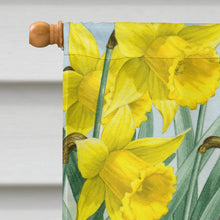 Load image into Gallery viewer, Lamb Flag Canvas House Size ASA2025CHF