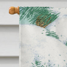 Load image into Gallery viewer, Red Squirrel with Pine Cone Flag Canvas House Size ASA2033CHF